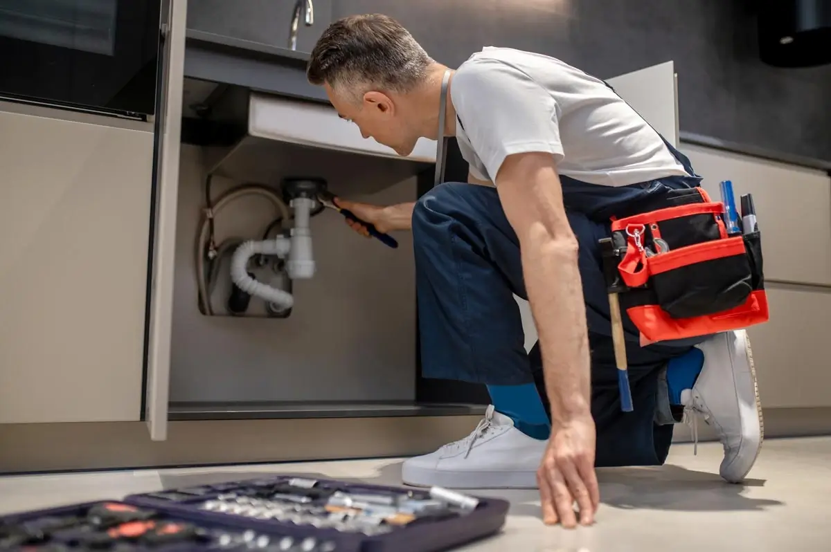 Professional Plumbing Services Professional Plumbing Services
